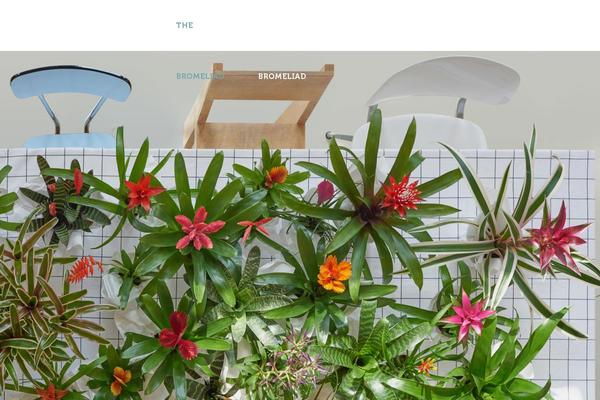 bromelia.info site used Bromelia-child