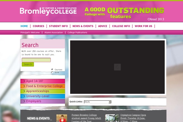 Bromley theme websites examples