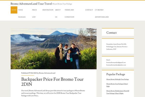 Ignite theme site design template sample