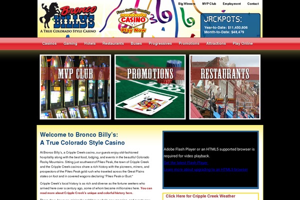 Site using Thinkup-panels plugin