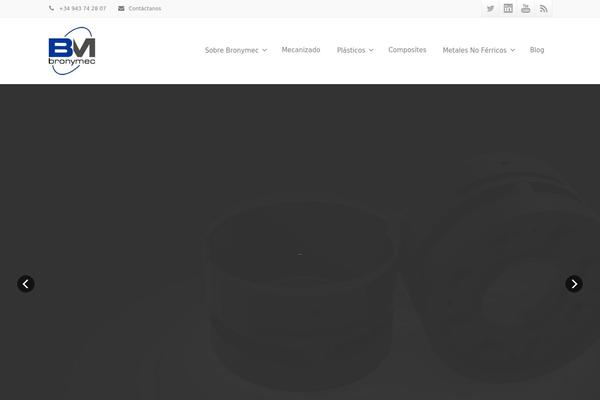 Envision theme site design template sample