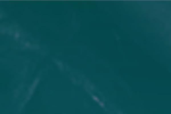 Site using WordPress Poll plugin