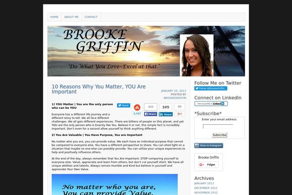 Asokay theme site design template sample