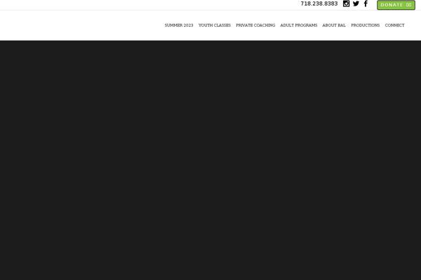 Site using Autoptimize plugin