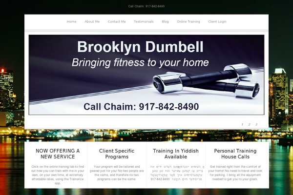 Zenon Lite theme site design template sample