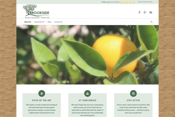Site using Pojo Accessibility plugin