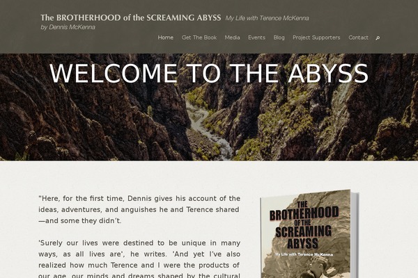 Elite-wp theme site design template sample