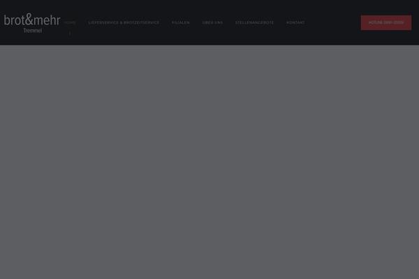 Site using Hogash-mailchimp plugin