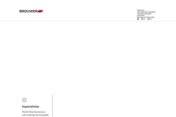 brouwer.com.ar site used Brouwer