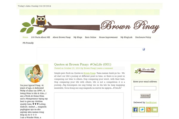 Snow Summit theme site design template sample
