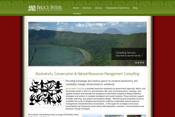 Reflection theme site design template sample