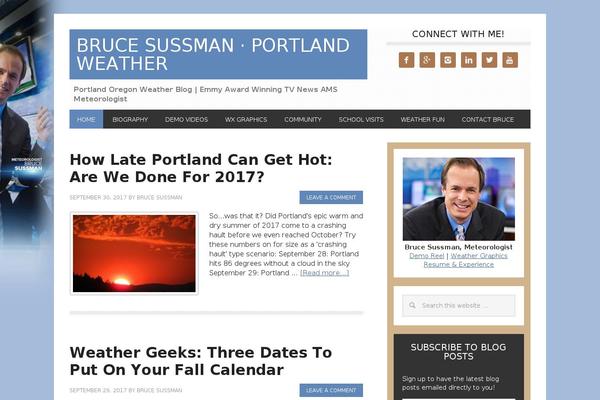 Metro Pro theme site design template sample