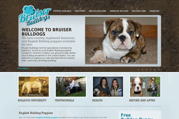 Alabastroswp theme site design template sample
