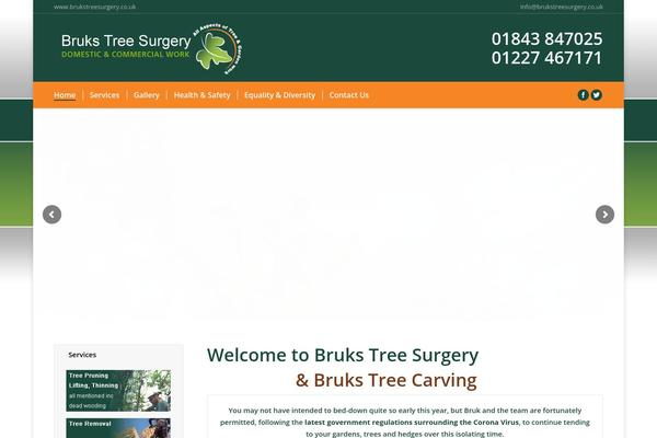 Site using Multi Image Widget plugin