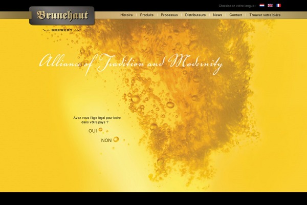 Site using Everest-timeline plugin