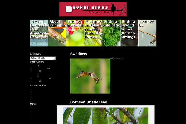 Sliding Door theme site design template sample