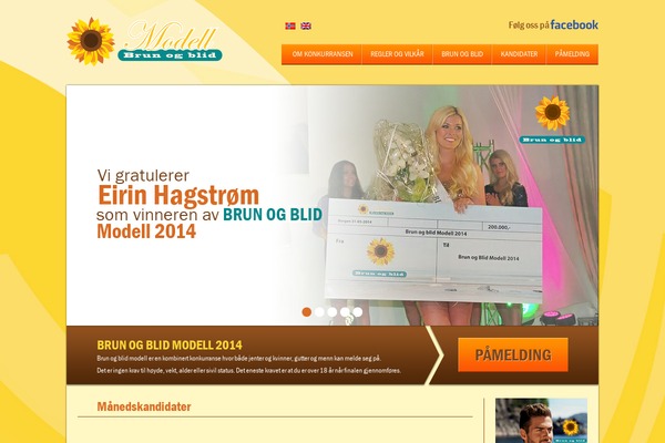Maksimer theme site design template sample