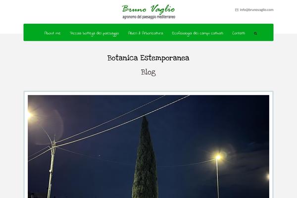 VEDA theme site design template sample
