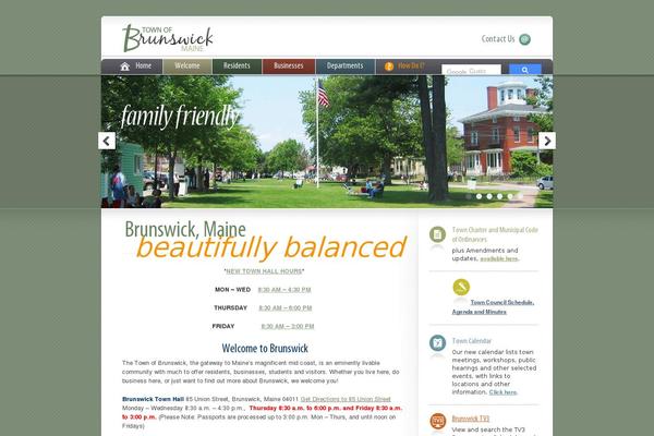 brunswick theme websites examples