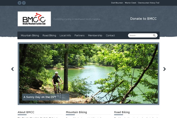 Relief theme site design template sample