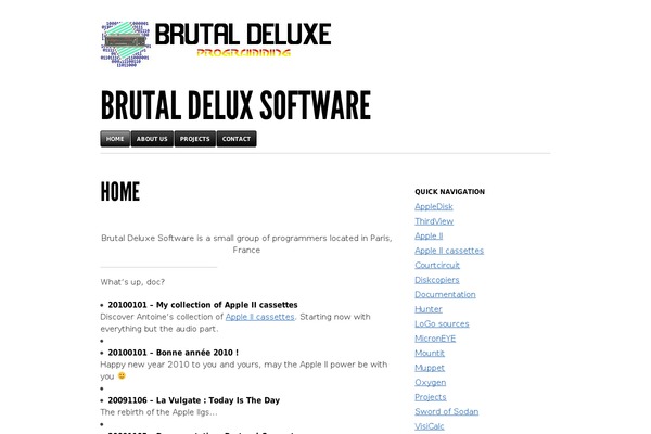 Blaskan theme site design template sample