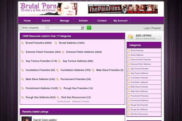 Directorypress theme site design template sample