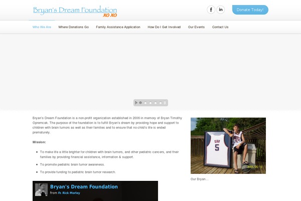 DonateNow theme site design template sample