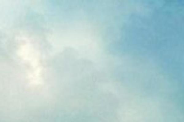 Twentytwentyfour theme site design template sample