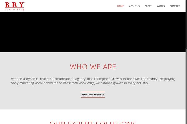 bryconsulting.com site used Bry