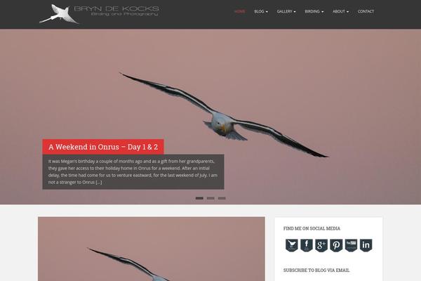 Site using Social Media Widget by Acurax plugin