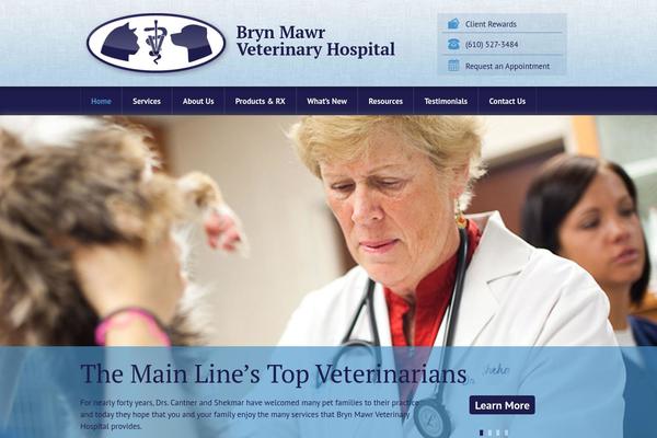 brynmawrvet.com site used Bvi-twentytwelve