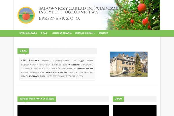 Roots theme site design template sample