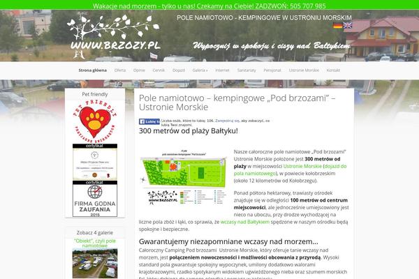 Lucid theme site design template sample