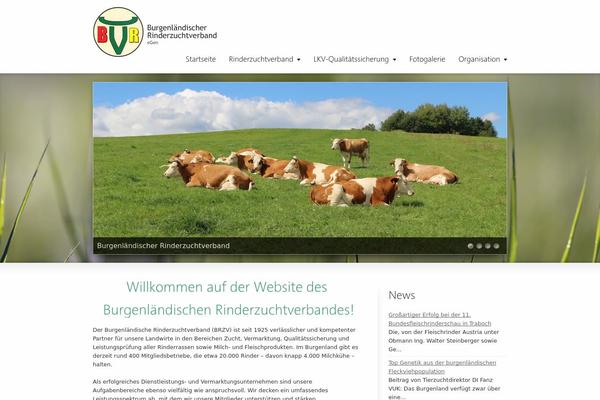 Striking theme site design template sample