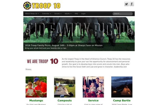 CyberChimps Pro theme site design template sample