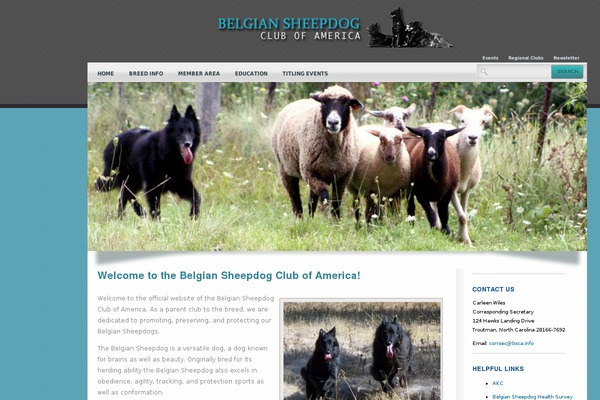 Site using Timed Content plugin