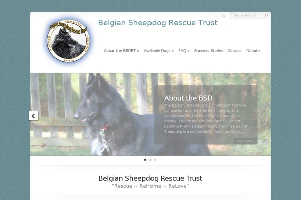 Chameleon theme site design template sample