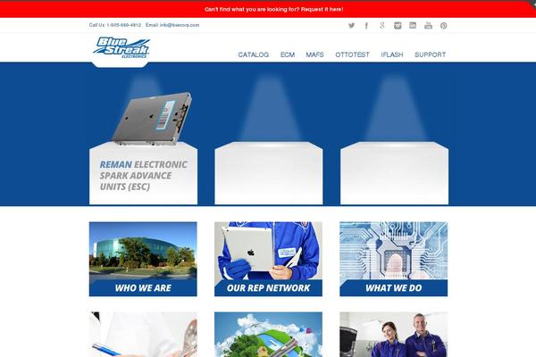 Site using Real3d-flipbook plugin