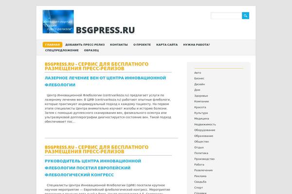 The Bizness theme site design template sample