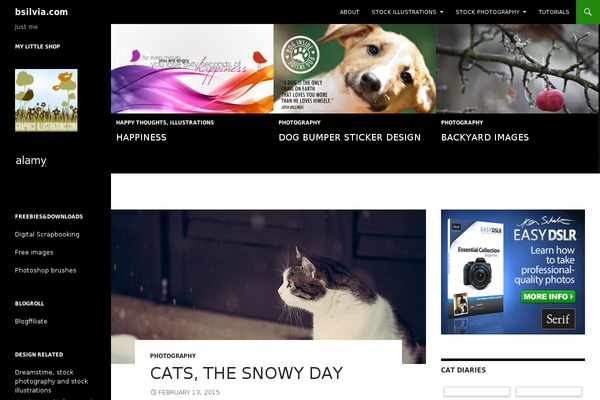 Site using Alpine PhotoTile for Instagram plugin