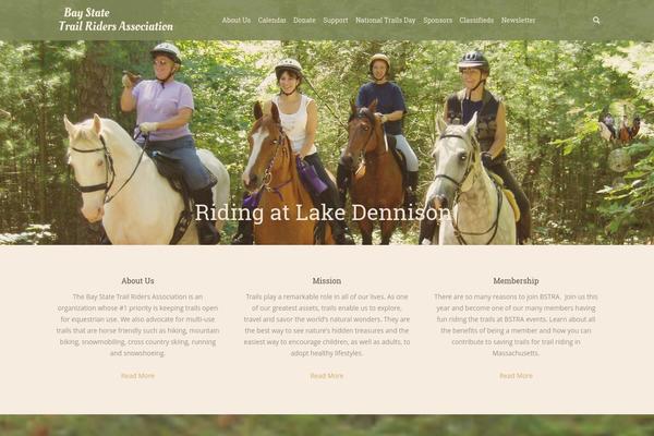 Dt-the7-old theme site design template sample