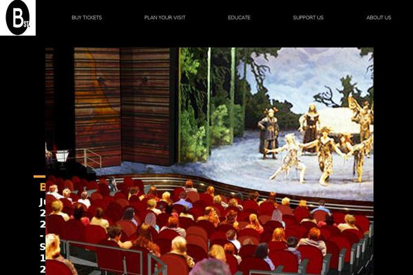 theme46731 theme websites examples