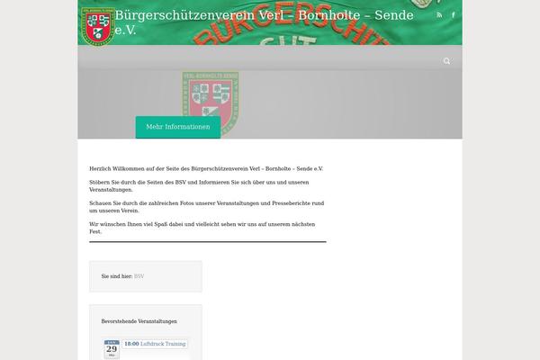 evolve theme site design template sample
