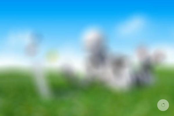Blask theme site design template sample