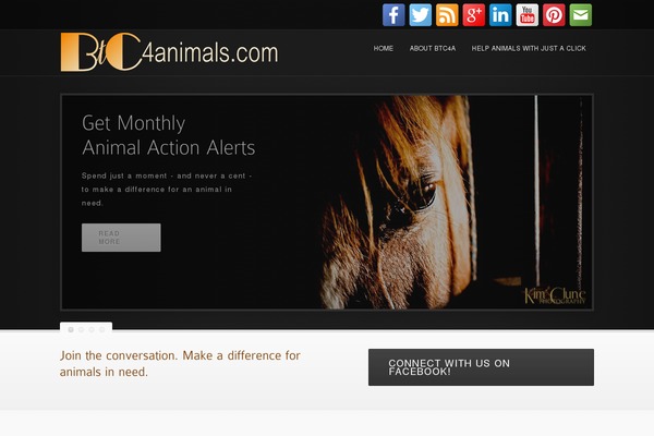 Persuasion theme site design template sample