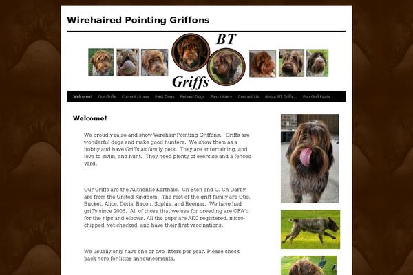 Site using Vimeo plugin