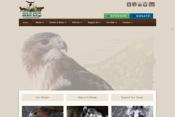 Earth theme site design template sample