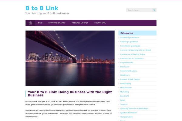 MidnightCity theme site design template sample