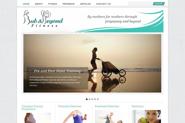 Wp Flexishop theme site design template sample