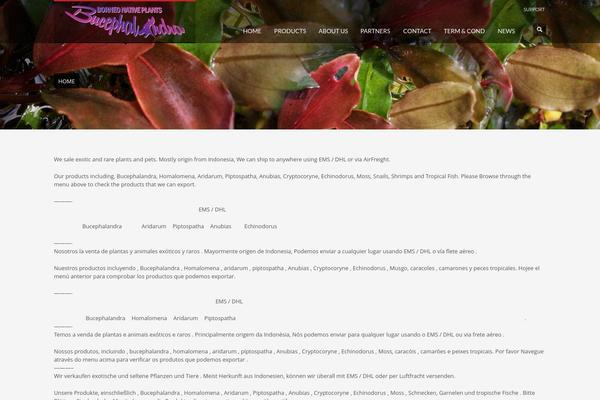 Kallyas theme site design template sample